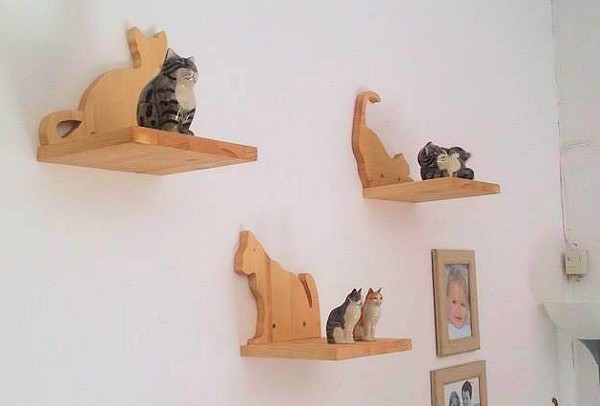 cat shelves